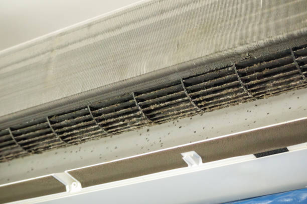 Best HVAC Duct Inspection Services  in Glencoe, AL